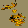 pollutionimage_WLl.png