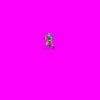 australiansample_Tu3.gif
