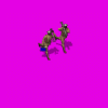 africanhmg_95N.gif