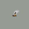 smokingcampfireimage_a9c.png