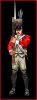 commanderidle_Wj2.jpg