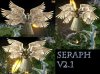 seraph2_1_H17.jpg