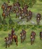 frankishhvycavalrypic1_0S8.jpg