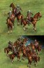 celtichorsemanpic1_ld7.jpg