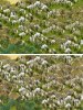terrain.jpg