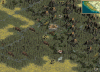 Reddog Forest.gif