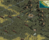 Reddog Forest1.gif