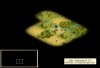 Zwi2_start.jpg
