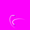 fighters.gif