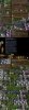 improved_roads_1_7nm_M0W.jpg
