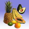 tropical_fruit_D0s.png