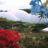 edenproject_splash_BC8.jpg