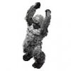 yeti_pedia_0ZG.jpg