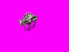 gorgonsilver_xYv.gif