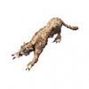 leopard_pedia_066.jpg