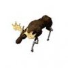 moose_pedia_MzD.jpg