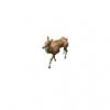deer_pedia_0l2.jpg