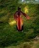 mage_x1w.jpg