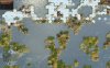 islands_4qA.jpg