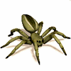 monsterspiderupload_Yn5.png