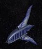minbari_leshath_ingame1_7g4.jpg