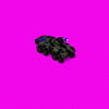 luchs_rXw.gif
