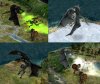 black_and_white_drakes_X57.jpg
