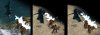 storm_drake_lightning_breath_eH1.jpg