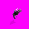 golshan_1KF.gif