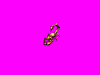 scorpionfull_MBl.gif