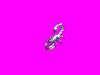 arcticscorpion_4BT.gif