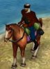 algerianspahipic0_ac0.jpg