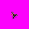 prophet_x00.gif
