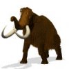 mammothlarge_YyR.jpg