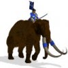 japanesemammothlarge_3Ma.jpg