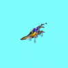 seahorsef1_M6a.gif