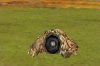 civ4screenshot0169_Non.jpg