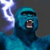 bluekong_pedia_eTn.jpg