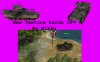 dardos_m1W.jpg
