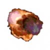 explosion2_pedia_1EK.jpg