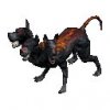cerberus_large_n7u.jpg