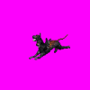 cerberus_KF6.gif