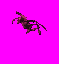 familiar2_X4s.gif
