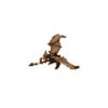 imp_brown_large_k99.jpg