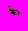 imp2_p5W.gif