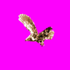 roc_V1F.gif