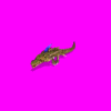 crocodile_9lg.gif