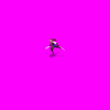 pirate1_LUF.gif