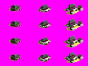 rasian_d2z.png