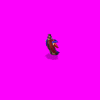 countesscarmilla_70D.gif